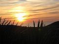 Ile.Rousse.2010 024